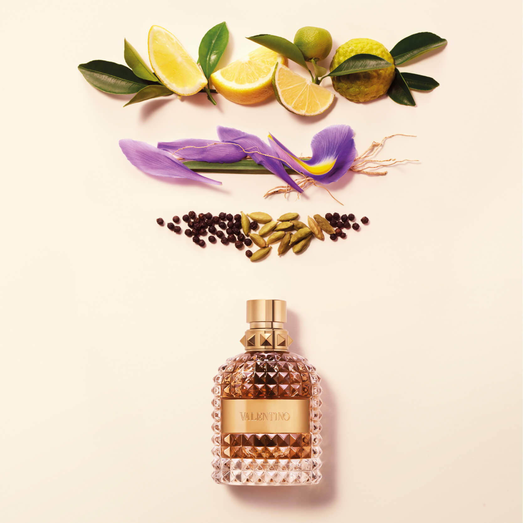 valentino uomo intense notes